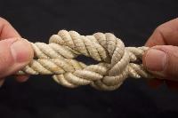 Society’s Gordian Knots