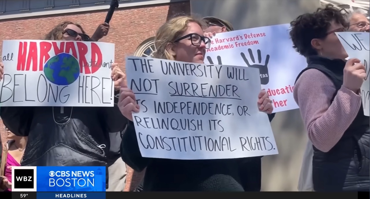 Democrat Party Lawlessness and Violence, And The Women Who Drive It