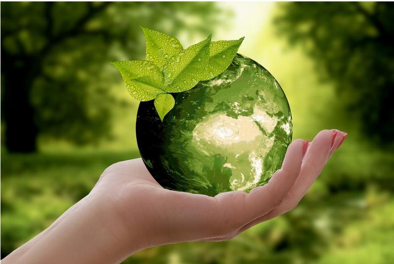 NextImg:The Pushback Against Financial Institutions That Advance ESG
