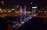 What Will Become of the White South African?
