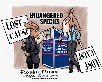 Previous Cartoon
