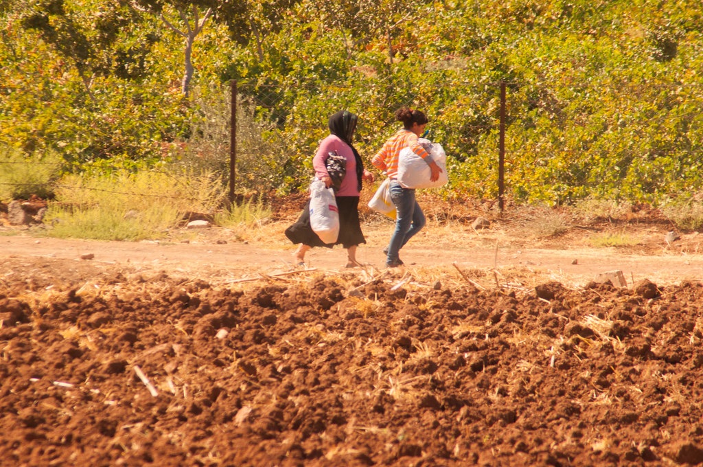 Trump Can Win Again on Building the Wall