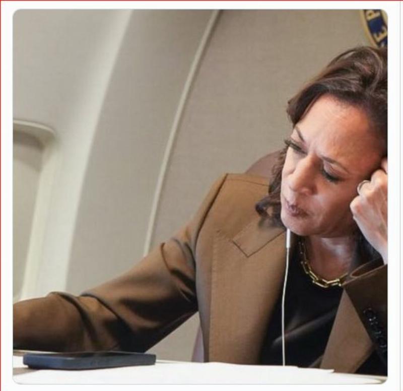 NextImg:Kamala's Katrina