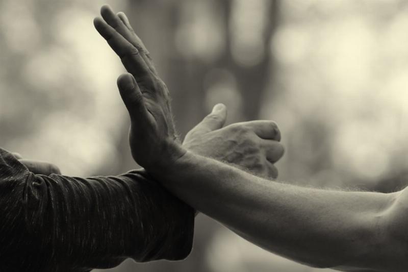 NextImg:Be Your Own First Line of Protection: Self-Defense for Everyone