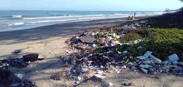 Environmental watchdog sues San Francisco for 1.2 billion gallons of raw sewage and trash-filled runoff entering the bay each year