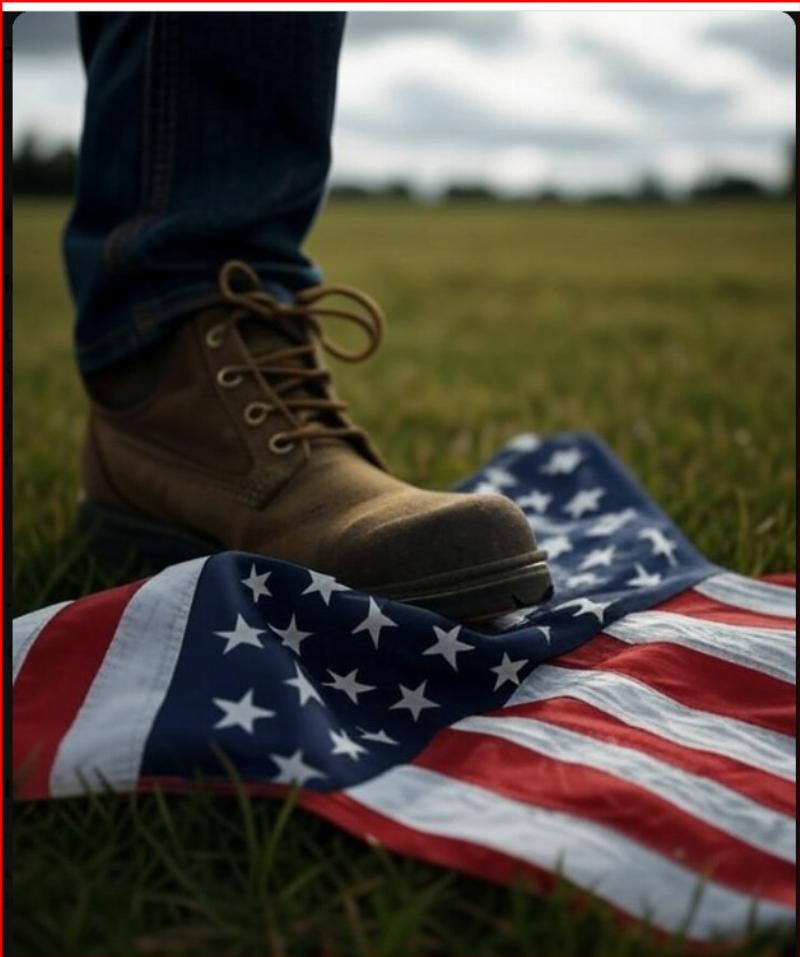 NextImg:How do we explain the left’s hatred of America and their undying affection for criminal illegals?