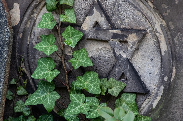 Star of David