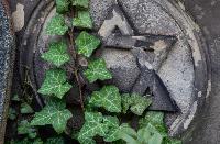 American Jews: On the Path to Self-Destruction?