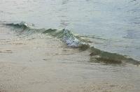 The marches are not creating a blue wave