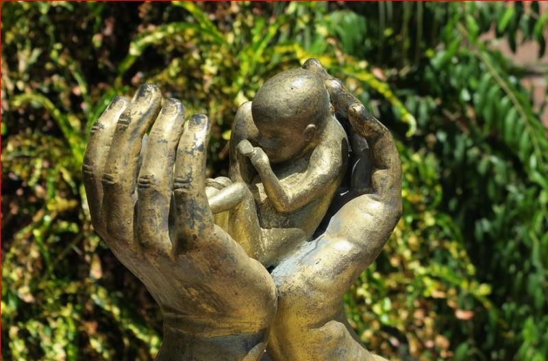 NextImg:Democrats' trend towards atheism and abortion are connected 