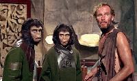 Stars of new <em>Planet of the Apes</em> movie say they’re ‘team ape’ because ‘look at what the humans have done to the earth’