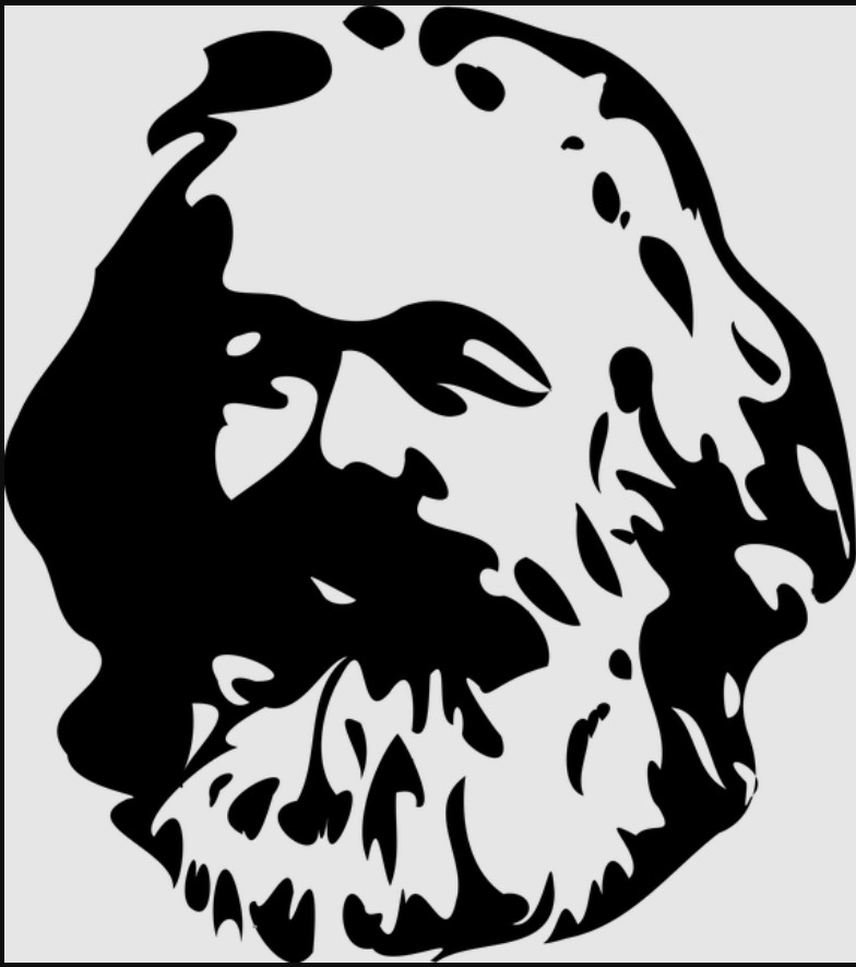 The socialist elephant is in the room -- and it's getting bigger