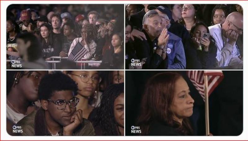 NextImg:Trump won!  So who are the people who voted for Harris/Walz?