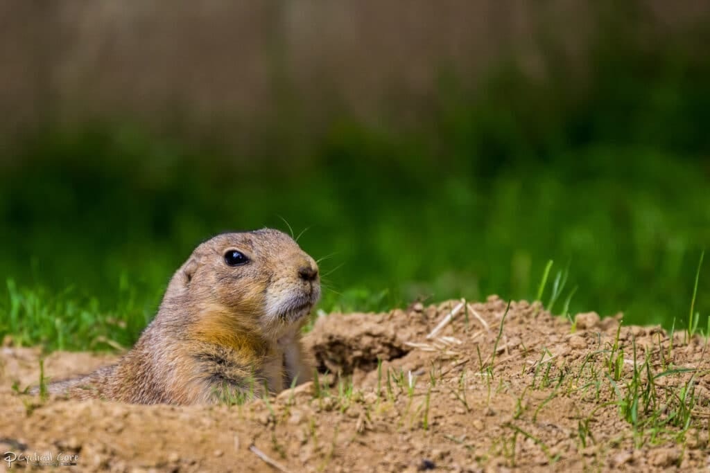 Is the Glass Half Full or Half Empty?