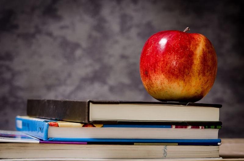 NextImg:Schools in 2024: Low Skills, Leftist Ideals