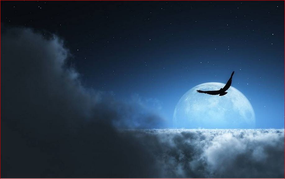 'Fly Me To The Moon': A movie tale of JFK, Sinatra, and Trump