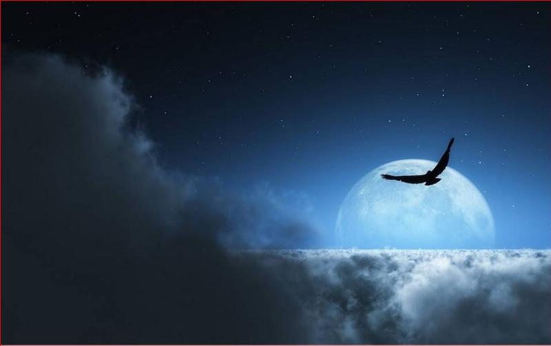NextImg:'Fly Me To The Moon': A movie tale of JFK, Sinatra, and Trump