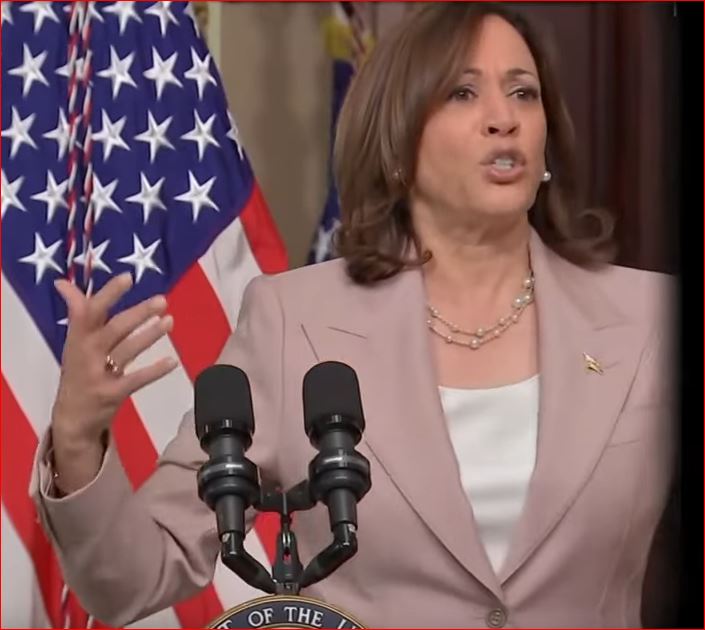 As Kamala holidays in Hawaii, Democrat staff scrounge for cash on GoFundMe