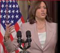 As Kamala holidays in Hawaii, Democrat staff scrounge for cash on GoFundMe