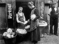 German economy in free fall